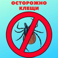 ОСТОРОЖНО КЛЕЩИ! С наступлением лета в Камчатском крае начался  эпидемиологический сезон, связанный с появлением иксодовых клещей.
